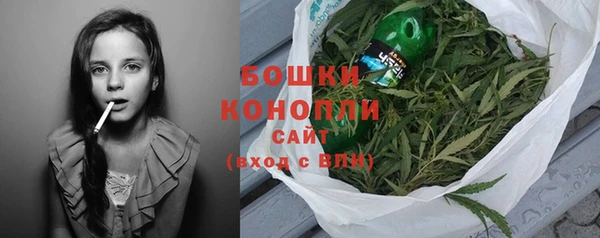 мдпв Корсаков