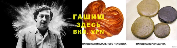 мдпв Корсаков