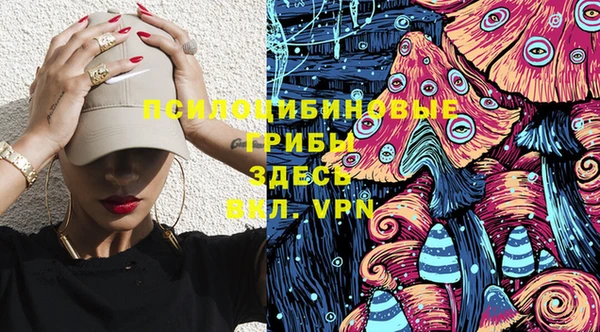 ALPHA PVP Коряжма