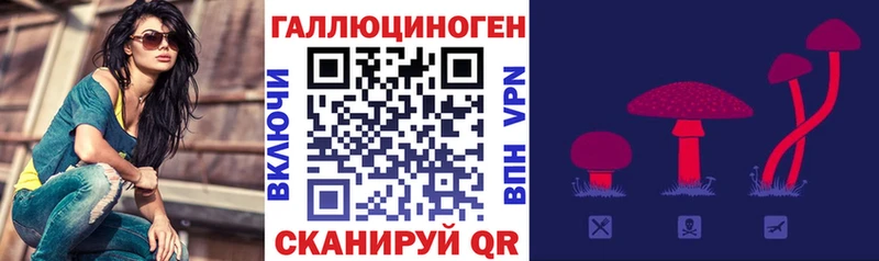 Галлюциногенные грибы прущие грибы  Сухиничи 